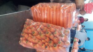 قیمت هویج عمده صادراتی
