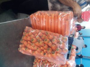 قیمت هویج عمده صادراتی